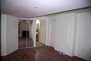 basement  (80)